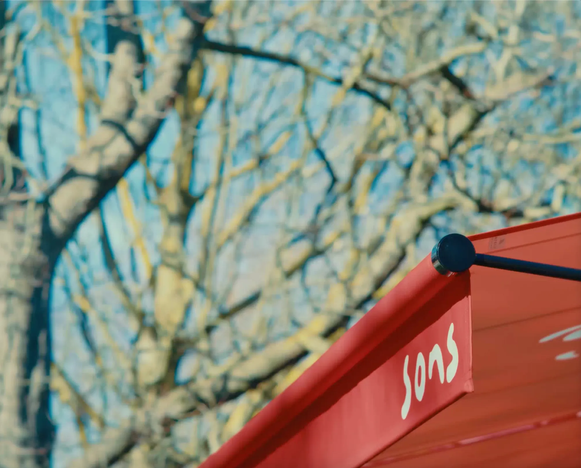 The sons awning under winter trees